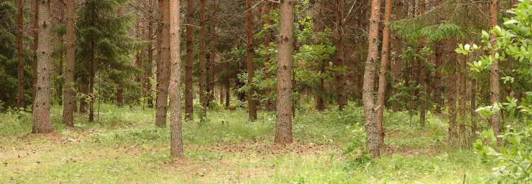 , 