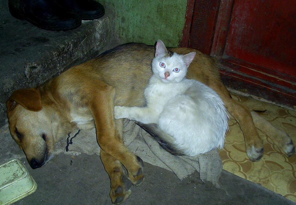 ""