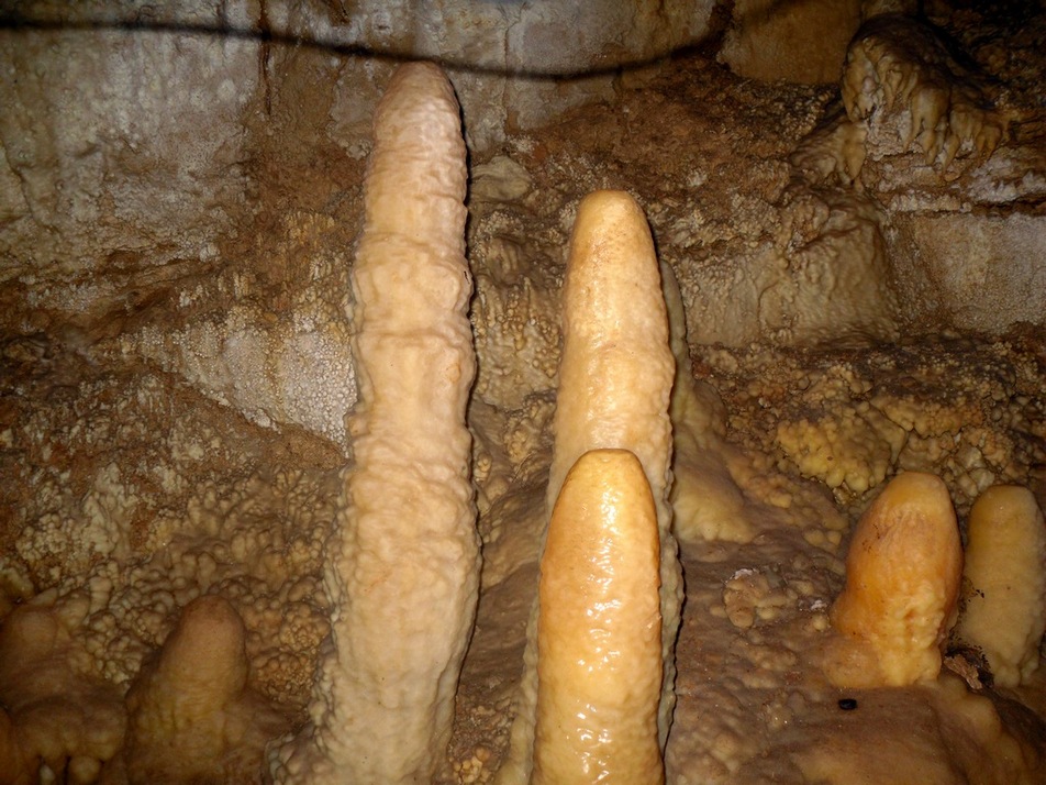  ,  ,