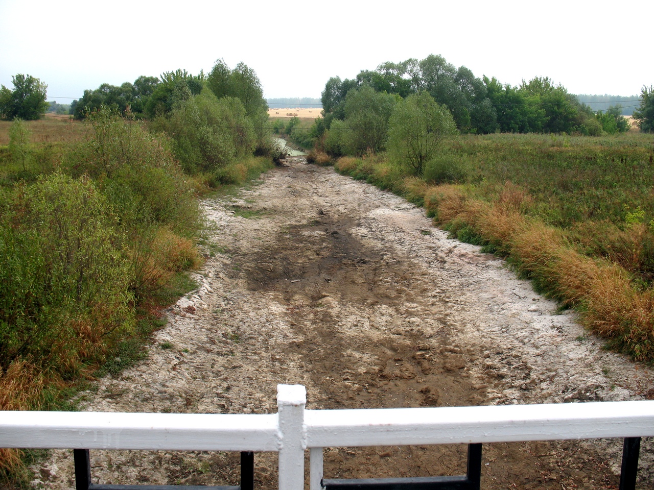    2010