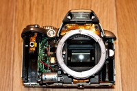 Nikon D40