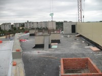   (2)